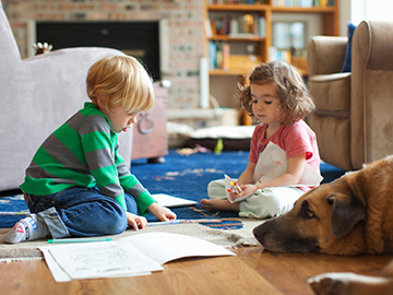 ayx官网:GLOBALTRONICS